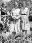 Linda Nussmeyer, Linda Deer, Charlotte Pfueger